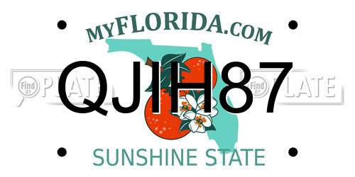 QJIH87 Florida License Plate