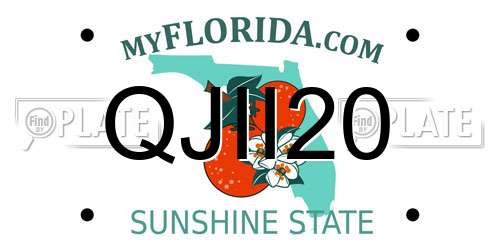 QJII20 Florida License Plate
