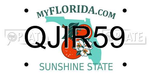 QJIR59 Florida License Plate