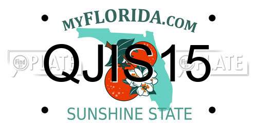 QJIS15 Florida License Plate