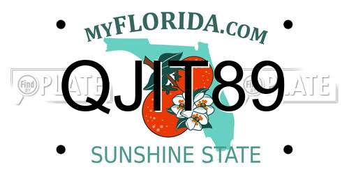 QJIT89 Florida License Plate