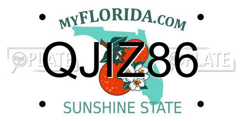 QJIZ86 Florida License Plate