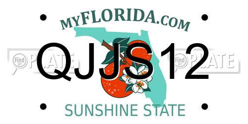 QJJS12 Florida License Plate
