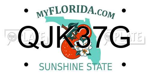 QJK37G Florida License Plate