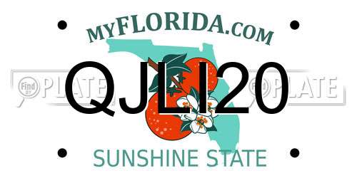 QJLI20 Florida License Plate