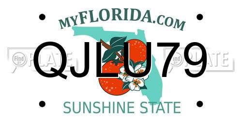 QJLU79 Florida License Plate
