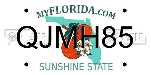 QJMH85 Florida License Plate