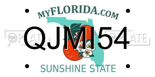 QJMI54 Florida License Plate