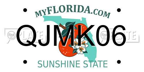 QJMK06 Florida License Plate