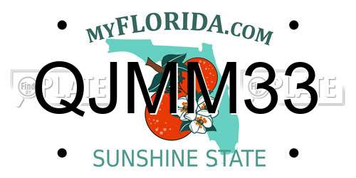 QJMM33 Florida License Plate