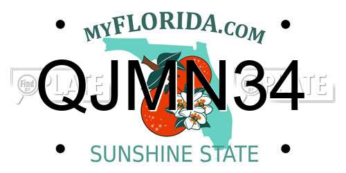 QJMN34 Florida License Plate