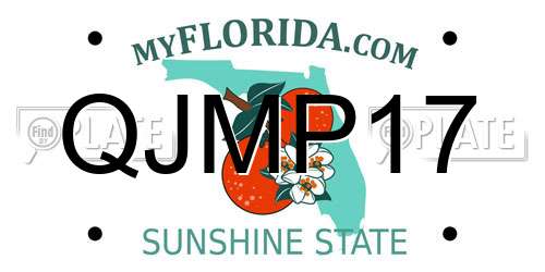 QJMP17 Florida License Plate