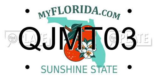 QJMT03 Florida License Plate