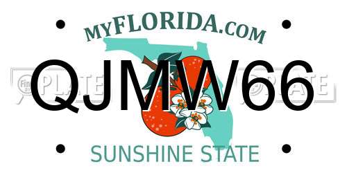 QJMW66 Florida License Plate