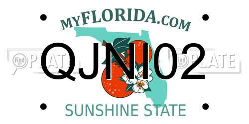 QJNI02 Florida License Plate