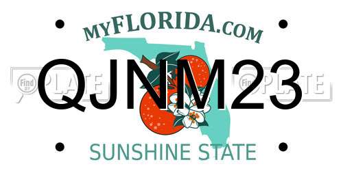QJNM23 Florida License Plate