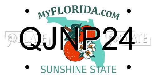 QJNP24 Florida License Plate
