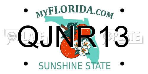 QJNR13 Florida License Plate