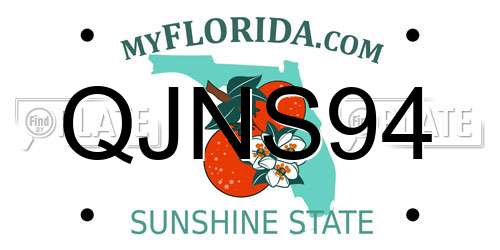 QJNS94 Florida License Plate