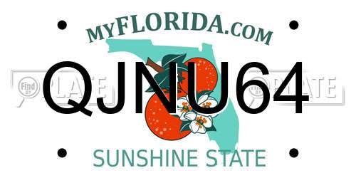 QJNU64 Florida License Plate