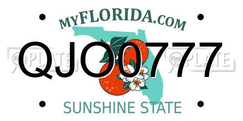 QJO0777 Florida License Plate