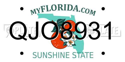 QJO8931 Florida License Plate