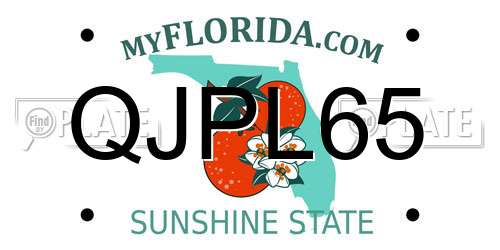 QJPL65 Florida License Plate