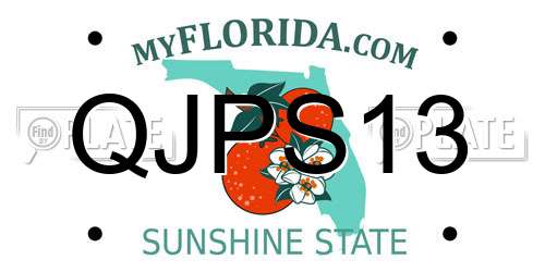 QJPS13 Florida License Plate