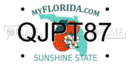 QJPT87 Florida License Plate