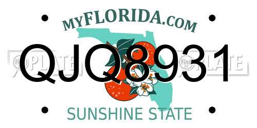 QJQ8931 Florida License Plate