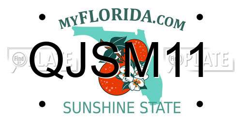 QJSM11 Florida License Plate
