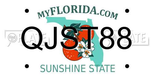 QJST88 Florida License Plate