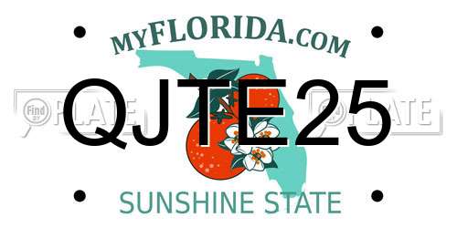 QJTE25 Florida License Plate