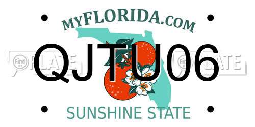 QJTU06 Florida License Plate