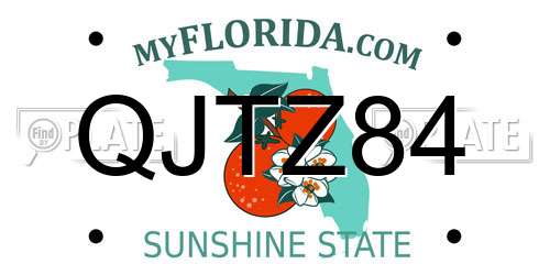 QJTZ84 Florida License Plate