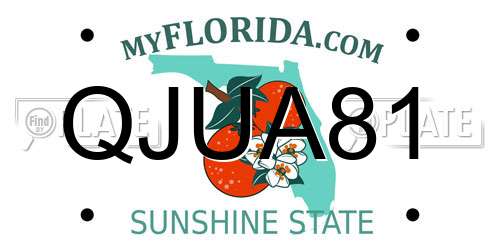 QJUA81 Florida License Plate