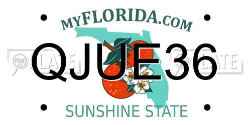 QJUE36 Florida License Plate