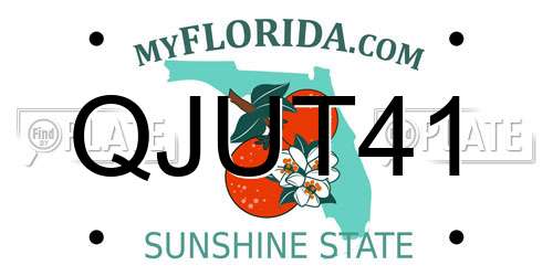 QJUT41 Florida License Plate