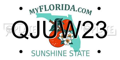 QJUW23 Florida License Plate