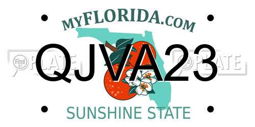 QJVA23 Florida License Plate