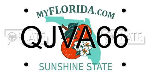 QJVA66 Florida License Plate