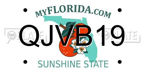 QJVB19 Florida License Plate