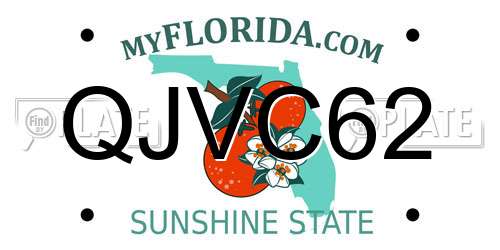 QJVC62 Florida License Plate