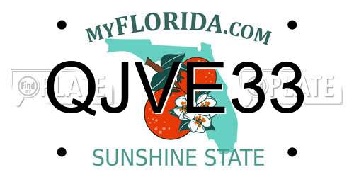 QJVE33 Florida License Plate