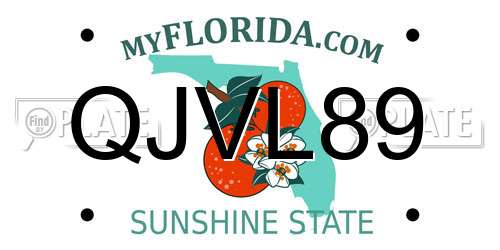 QJVL89 Florida License Plate