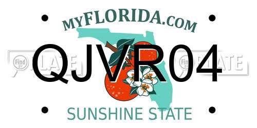 QJVR04 Florida License Plate