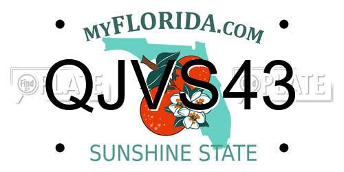 QJVS43 Florida License Plate