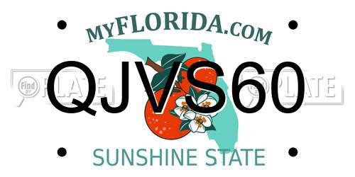 QJVS60 Florida License Plate