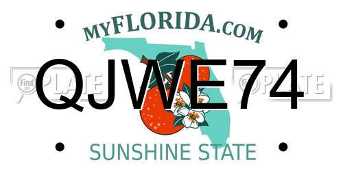 QJWE74 Florida License Plate