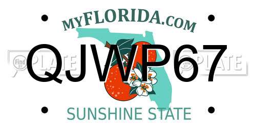 QJWP67 Florida License Plate